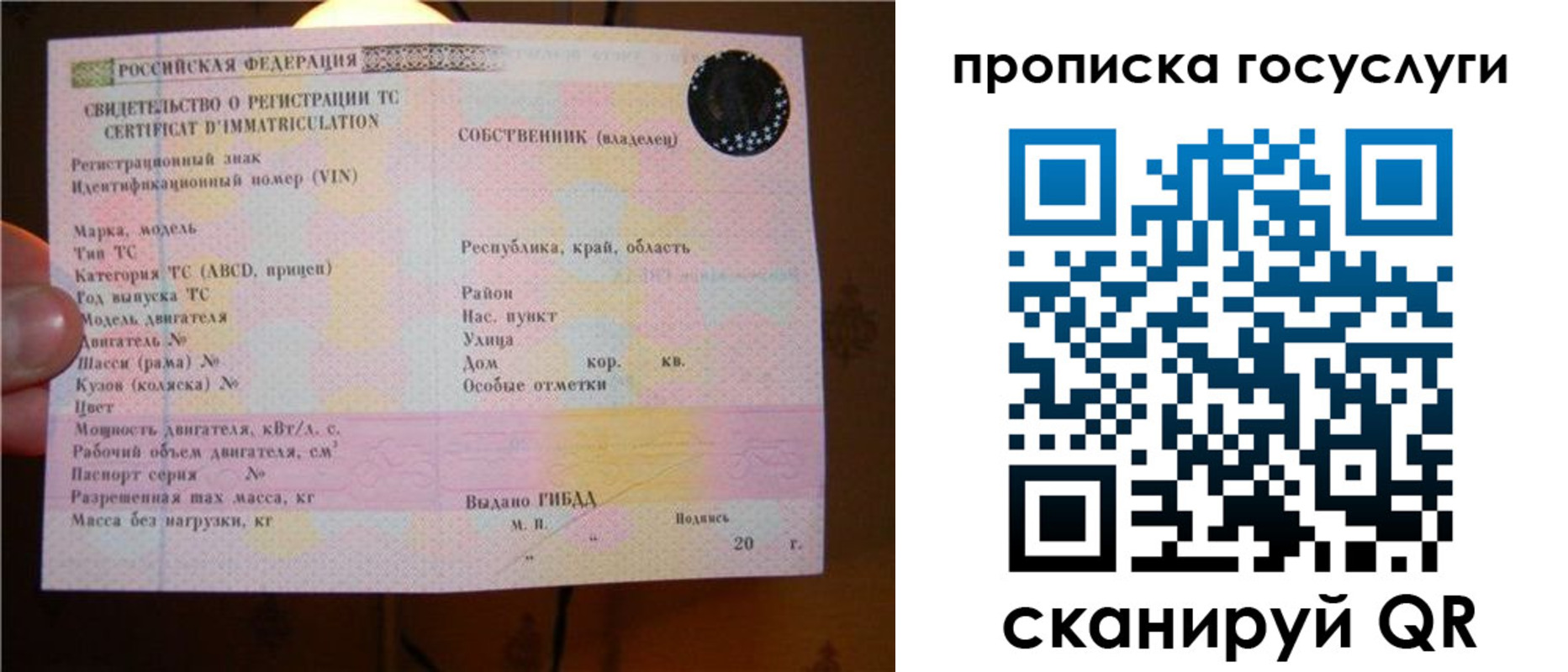 регистрация для дет. сада в Камышине